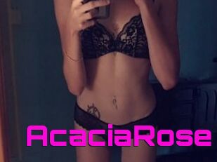 AcaciaRose