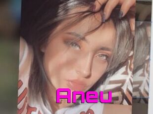 Aneu