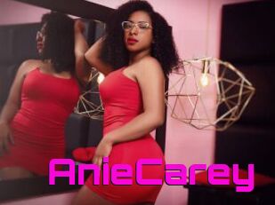 AnieCarey
