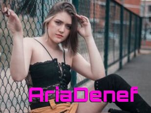 AriaDenef