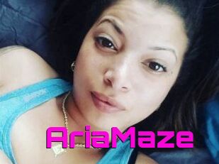 Aria_Maze