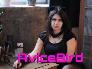 AviceBird