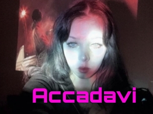 Accadavi