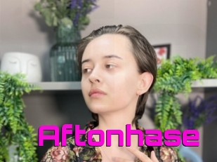 Aftonhase