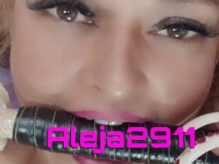 Aleja2911