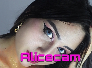 Alicecam