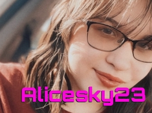 Alicesky23