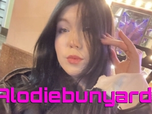 Alodiebunyard