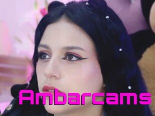 Ambarcams