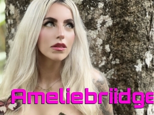 Ameliebriidge