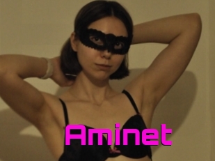 Aminet