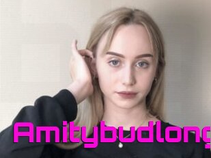 Amitybudlong