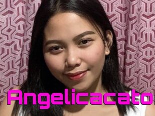 Angelicacator
