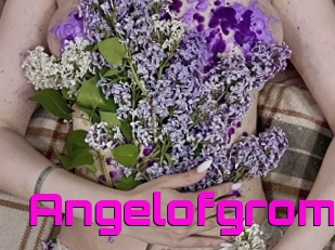Angelofgrom