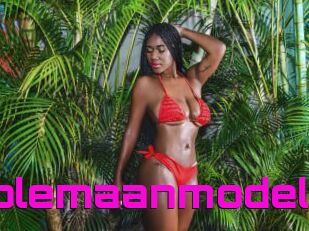 Anncolemaanmodel