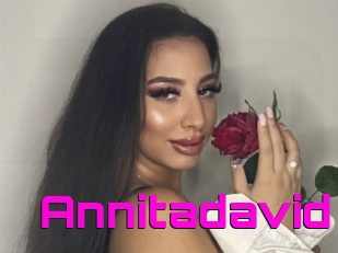 Annitadavid