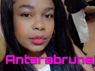 Antarabrunet