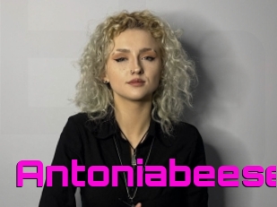 Antoniabeese