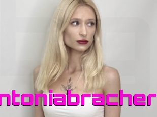 Antoniabracher