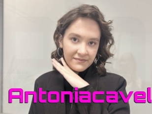 Antoniacavell