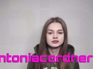 Antoniacordner