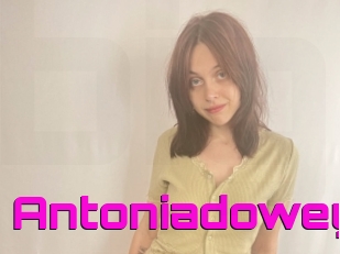 Antoniadowey