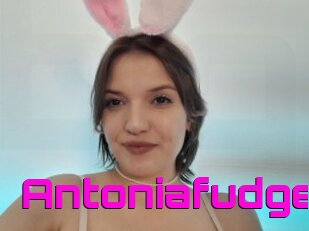 Antoniafudge