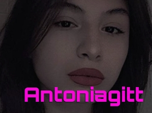 Antoniagitt