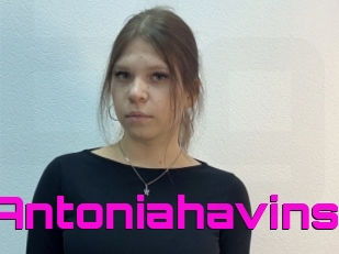 Antoniahavins