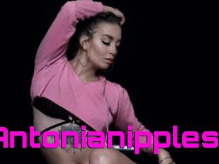 Antonianipples