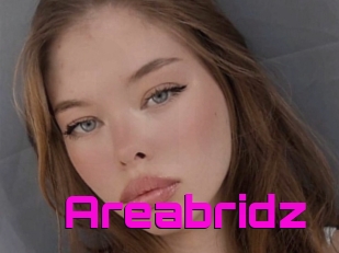 Areabridz