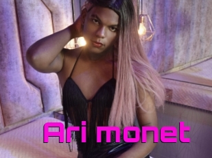 Ari_monet