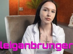 Arleiganbrunger