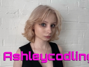 Ashleycodling