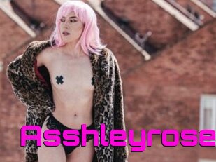 Asshleyrose