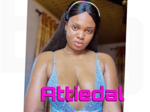 Attiedal