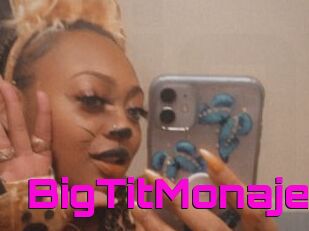 BigTitMonaje