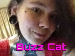 Buzz_Cat