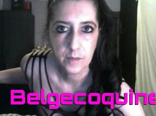 Belgecoquine