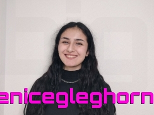 Berenicegleghorn