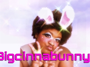 Bigcinnabunny