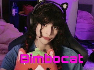 Bimbocat