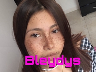 Bleydys