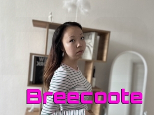 Breecoote
