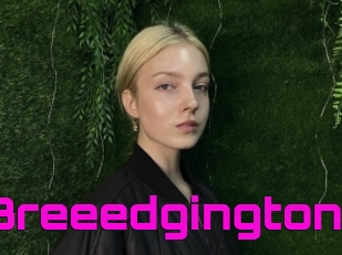 Breeedgington