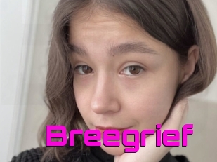 Breegrief
