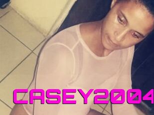 CASEY2004