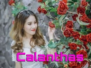 Calanthas