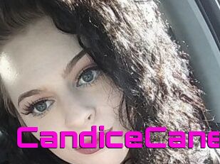 Candice_Cane