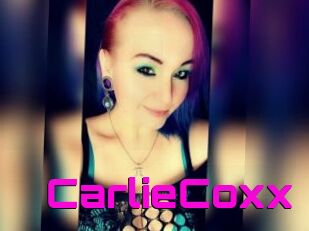 CarlieCoxx